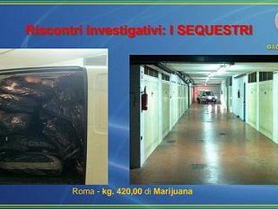 guardia-di-finanza-di-firenze-sequestrati-780kg-di-marijuana