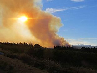 incendio-versilia-per-tornare-alla-normalita-serviranno-50-anni