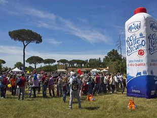 festa-del-latte-toscano-domenica-al-parco-naturale-di-migliarino