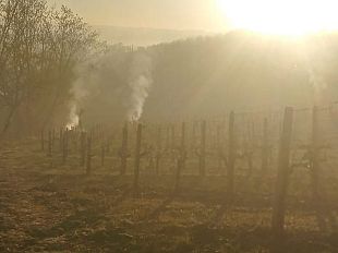 gelate-in-toscana-7-8-aprile-come-fare-per-i-rimborsi