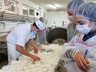 nuovi-lavori-nellagroalimentare-san-casciano-ospita-enofoodcom