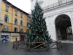 natale-il-7-dicembre-laccensione-degli-alberi-visibile-online