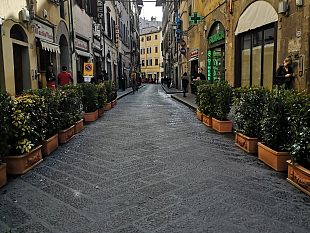via-dei-neri-piante-e-panchine-nella-strada-dellantico-vinaio