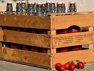 indagine-e-sequestro-del-pomodoro-a-rischio-la-filiera-produttiva
