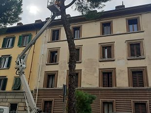 vento-forte-a-firenze-scatta-il-codice-giallo