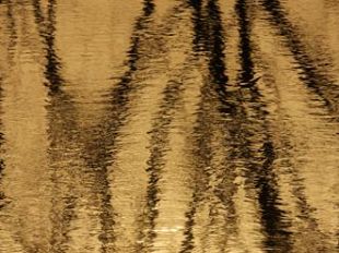 b111301518-la-vivida-natura-del-coreano-ahae