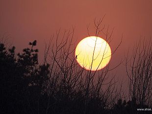 b111301508-through-my-window-al-museo-nazionale-alinari