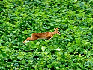 b111222153-through-my-window-del-coreano-ahae