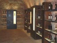 a910181306-un-enoteca-virtuale-per-far-degustare-a-barack-obama-il-vero-vermentino