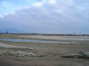 serchio-a-vecchiano-argini-rafforzati-sopralluogo-monni-angori