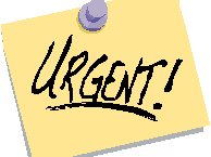 b204042002-4-borse-di-studio-per-giovani-per-un-workshop-in-germania