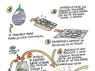 prezzemolo-e-vecchi-nervetti-ricette-disegnate-con-allegria