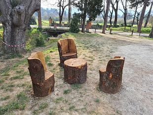 i-tronchi-tagliati-diventano-panchine-tavoli-e-giochi