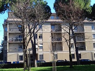 firenze-ha-1300-alberi-in-piu-ecco-le-piantagioni-realizzate-nellultimo-anno