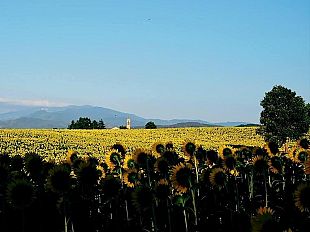 turismo-online-visittuscanycom-e-il-nuovo-sito-di-promozione-turistica-della-toscana