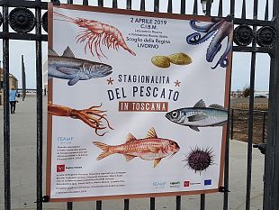 calendario-del-pescato-in-toscana-presentato-a-livorno