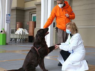 cresce-la-pet-therapy-al-meyer-la-foto-di-galileo
