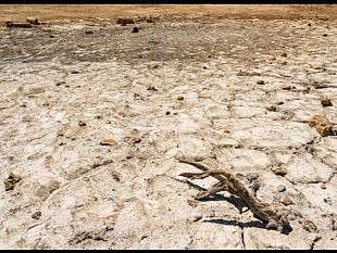 clima-lallarme-del-cnr-sulla-costa-toscana-rischio-desertificazione