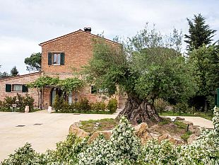la-53-edizione-di-vinitaly