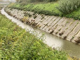 signa-bilancio-a-un-anno-dallalluvione