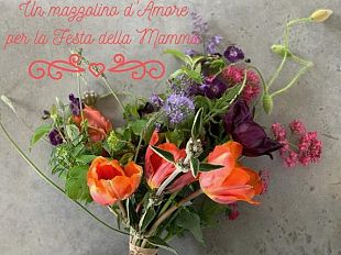fiori-biologici-per-la-mamma-lidea-di-quavio-per-un-gesto-speciale