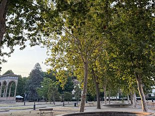 giardino-dellorticoltura-due-domande-allamministrazione-comunale