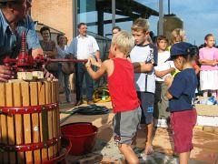 a803272306-tornano-le-feste-di-primavera-alla-coop-legnaia