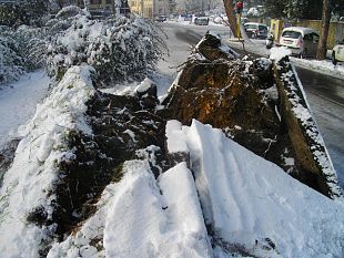 b202131405-allerta-ghiaccio-ecco-le-zone-critiche-in-tutta-la-toscana