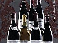 a809241820-asta-di-vini-pregiati-e-da-collezione-8-ottobre-2008-stazione-leopolda