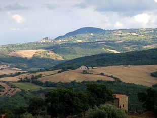 boschi-nuova-mappatura-in-toscana