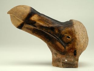 scienza-gli-uccelli-estinti-del-museo-la-specola