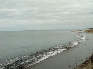 troppi-batteri-fecali-in-mare-bagni-vietati-in-undici-spiagge-della-versilia