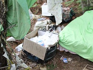 boschi-discarica-in-toscana-segnalazione-del-movimento-5-stelle