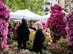 la-mostra-mercato-di-piante-e-fiori