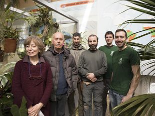 nuova-serra-tropicale-allorto-e-museo-botanico-delluniversita-di-pisa