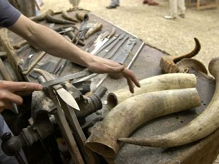 artigianato-e-palazzo-2023-iscrizioni-aperte