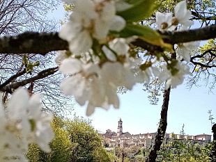 proverbi-e-detti-legati-alla-pasqua-dieci-tra-i-piu-popolari