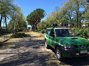 maltempo-riaperto-il-primo-tratto-del-lungarno-colombo