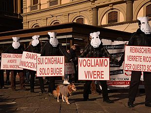 cinghiali-fermiamo-uninutile-strage