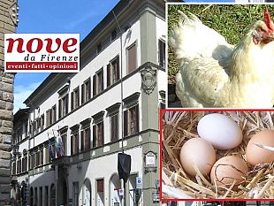 vitalizi-in-regione-toscana-strage-di-uova-uccisa-la-gallina