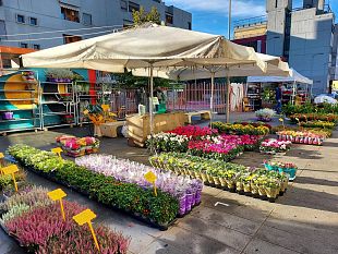 fiorinfiera-sesto-2023