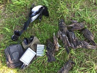 legge-sulla-caccia-confagricoltura-toscana-dopo-tante-rassicurazioni-ancora-nulla-di-fatto