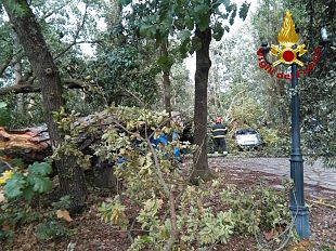 interventi-post-maltempo-a-firenze-restano-chiusi-tre-giardini