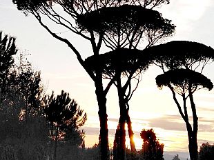 come-sara-linverno-2020-21-scatta-oggi-alle-1002