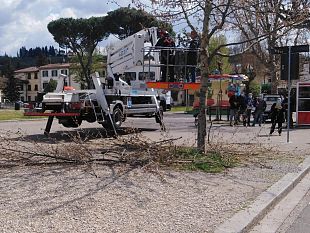 galluzzo-tecnici-comunali-a-lezione-di-potatura