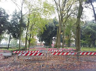 le-cascine-ormai-sono-il-parco-degli-spacciatori