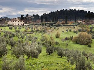 nella-villa-medicea-di-careggi-un-centro-di-ricerca-per-il-paesaggio