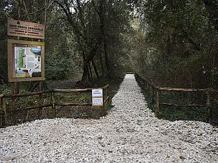 san-rossore-riqualificato-il-percorso-della-lecciona