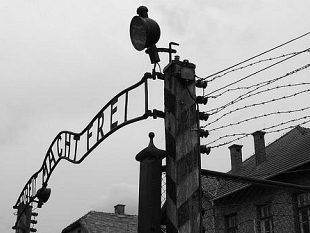 giornata-della-memoria-2025-per-non-dimenticare-lorrore