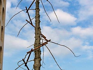omaggio-a-dante-in-piazza-signoria-labete-gigante-di-penone